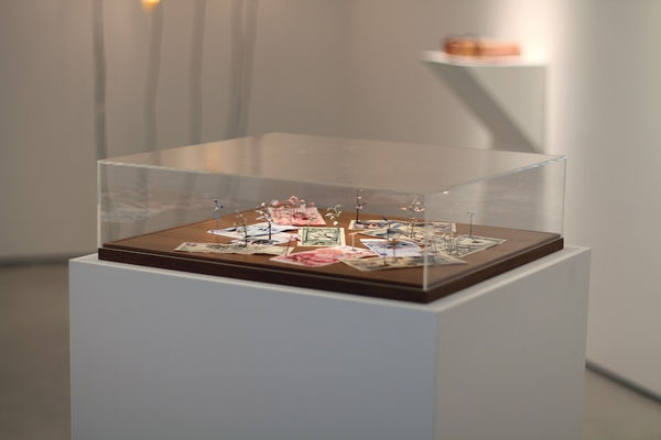 Secret Language of Flowers exhibition hanging in Andipa Gallery