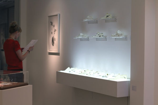 Secret Language of Flowers exhibition hanging in Andipa Gallery