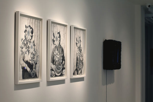 Secret Language of Flowers exhibition hanging in Andipa Gallery