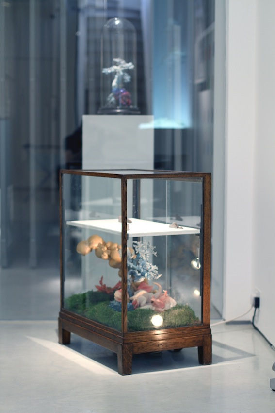 Secret Language of Flowers exhibition hanging in Andipa Gallery