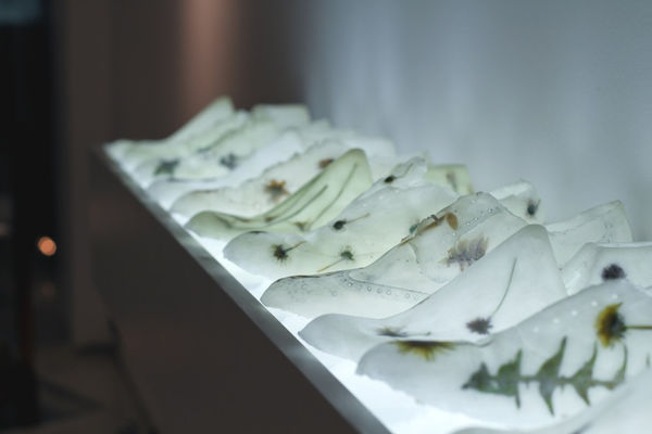 Secret Language of Flowers exhibition hanging in Andipa Gallery