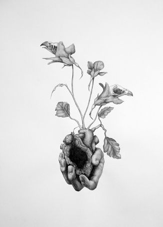 Secret Language of Flowers exhibition hanging in Andipa Gallery