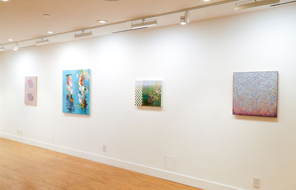 Color And Form Installation Image 1