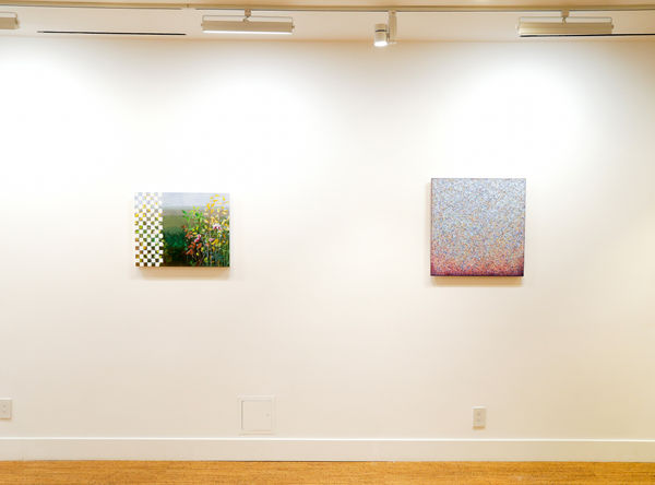 Color And Form Installation Image 3