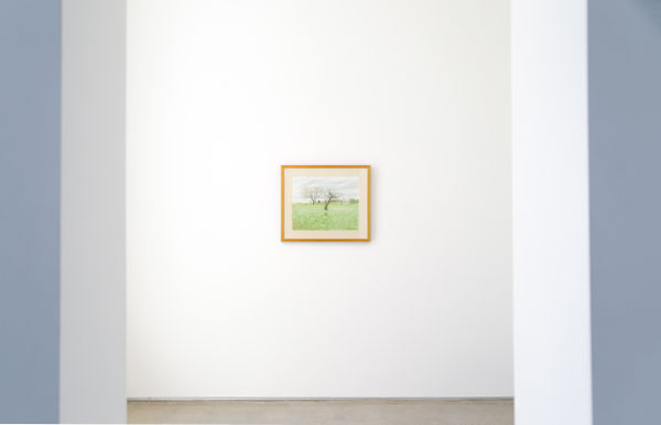 Hagop Hagopian Mannequins And Landscapes Installation Image 1