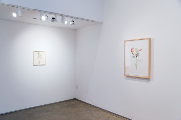 Joanne Julian Garden Spirits Installation Image 2