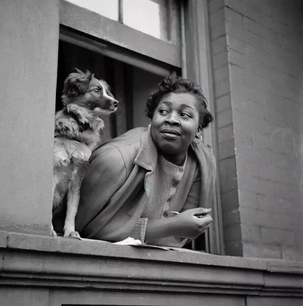 Gordon Parks Woman and Dog in Window, Harlem, New York, 1943 Gelatin silver print 34 x 34 inches