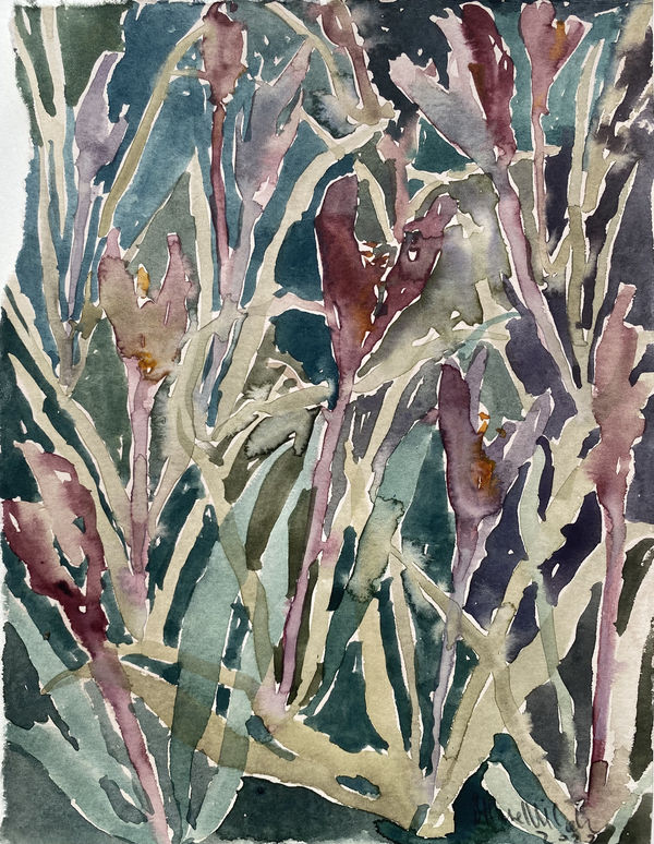 Beatrice Hasell-McCosh, Crocus , 2022