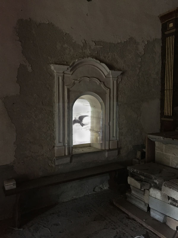 GUY OBERSON After Silent Spring