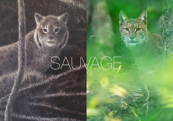 SAUVAGE Jacques Rime | Neil Villard