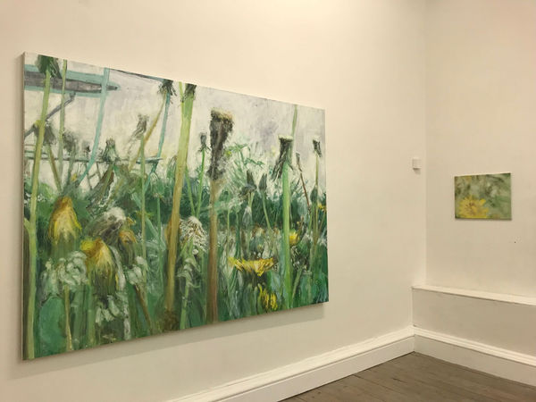 93Efcdc4 A597 4Fa6 A8D0 51E85C77Fac5