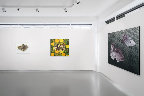 Inger Bergstr M Overview Effect 07