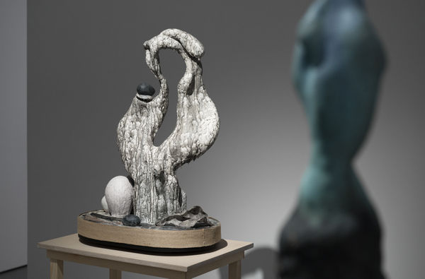 Sara M Ller Driva Drift 2025 Photo Sanna Argus Tiren 5