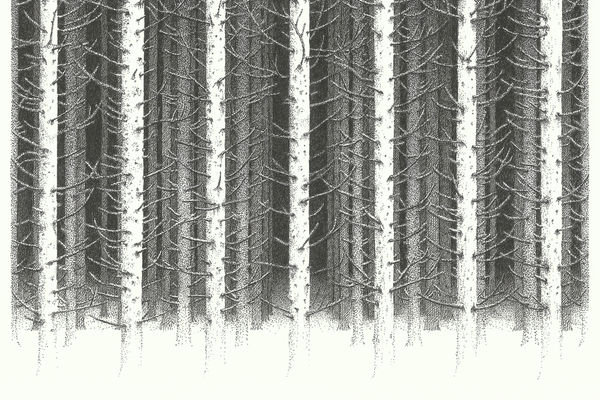 Dea Svensson | Allt levande hos honom är skört