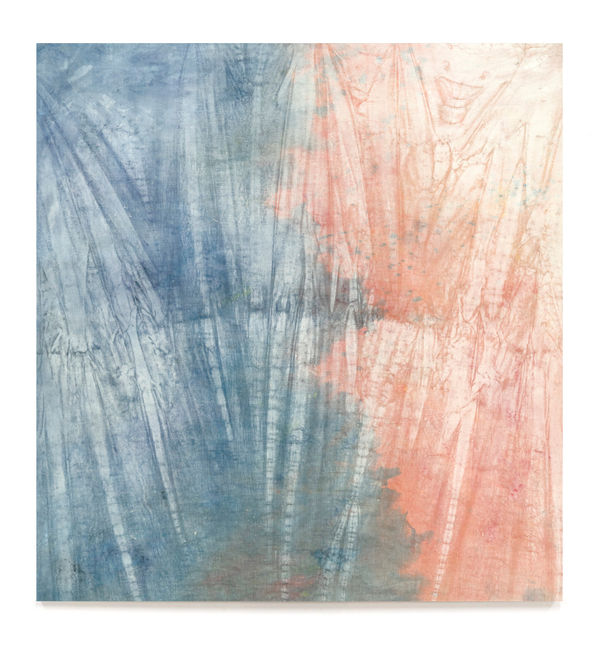 Untethered Landscapes Text by Shubigi Rao, featuring works by Cole Sternberg, Maryanto and Tuan Mami