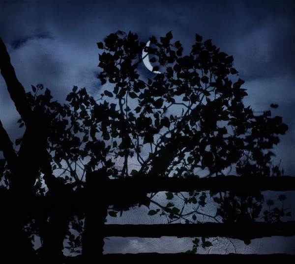 Crescent Moon Bridge, 2017