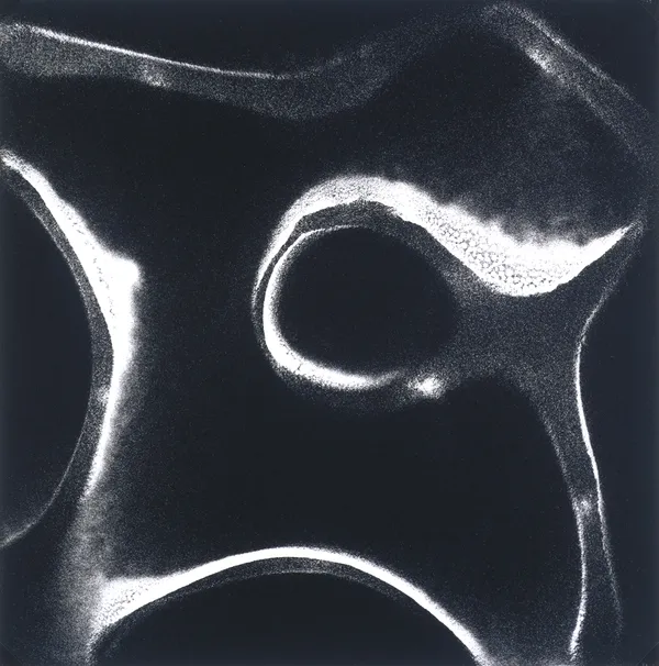 Chladni Figure 2, 1985