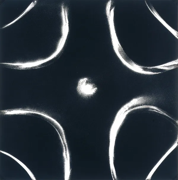 Chladni Figure 3, 1985