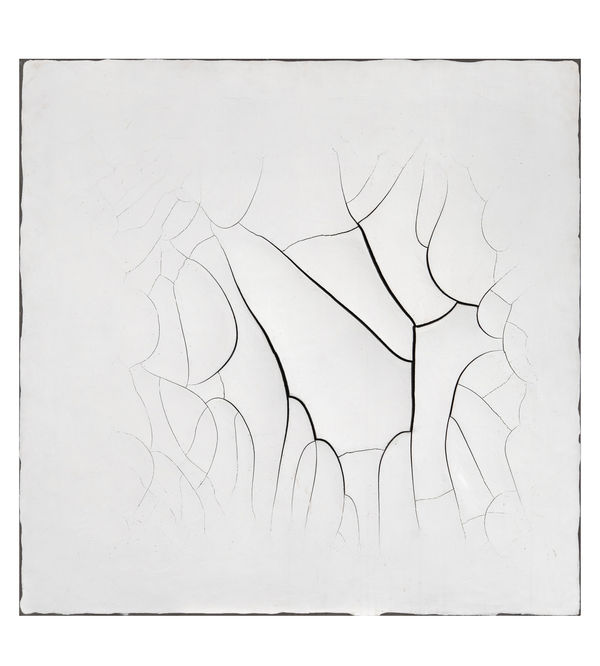 Adriana Varejão, Monocromo branco #17, 2000