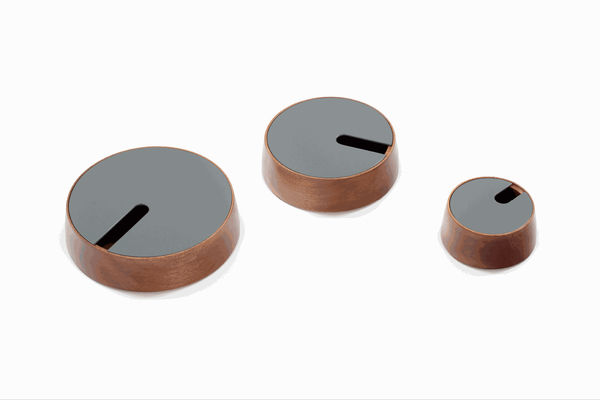 Claudia Moreira Salles, Pote Oui, 2016