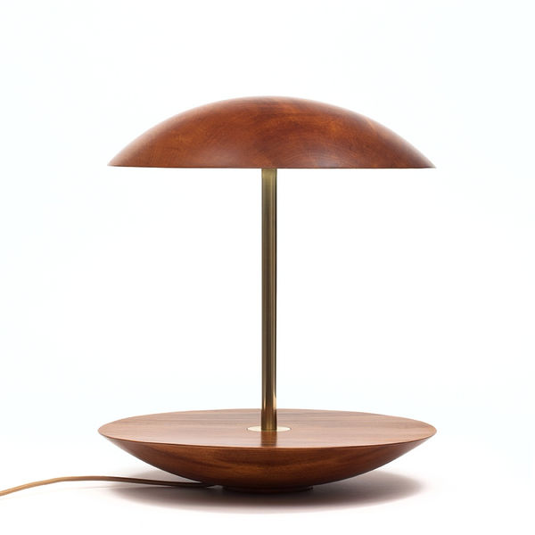 Claudia Moreira Salles, Luminária Concêntrica, 2019