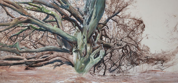 Mary Anne Aytoun Ellis, Crom Yew