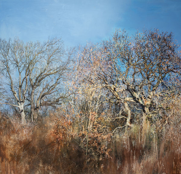 The Wood I Know 2021 Portland Gallery London  for details see overview