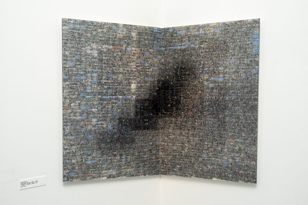 Rashid Rana, Dead Birds Flying V, 2006 - 2007