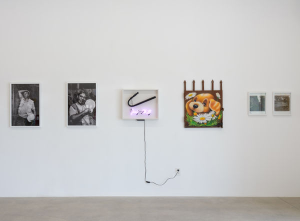 installation view of Terrenos