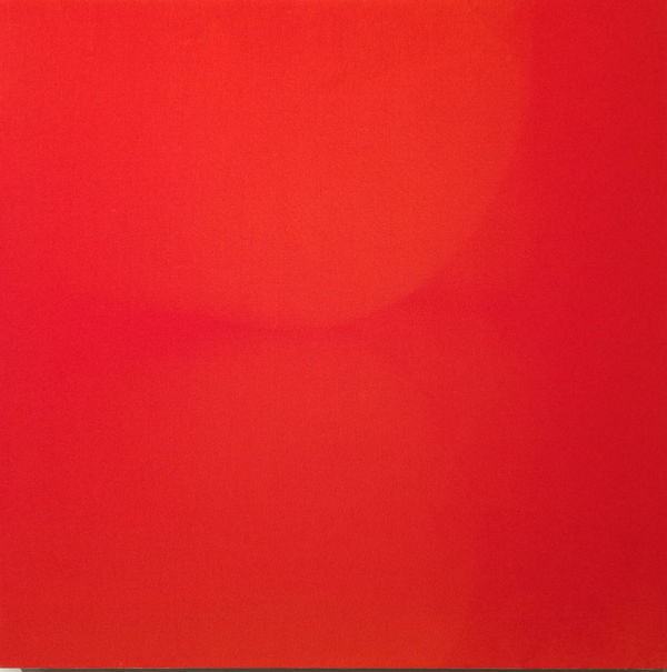 photograph of body parts silkscreened in color