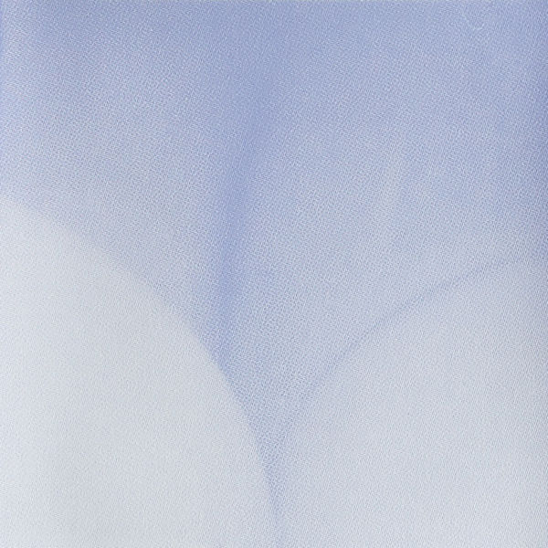 photograph of body parts silkscreened in color