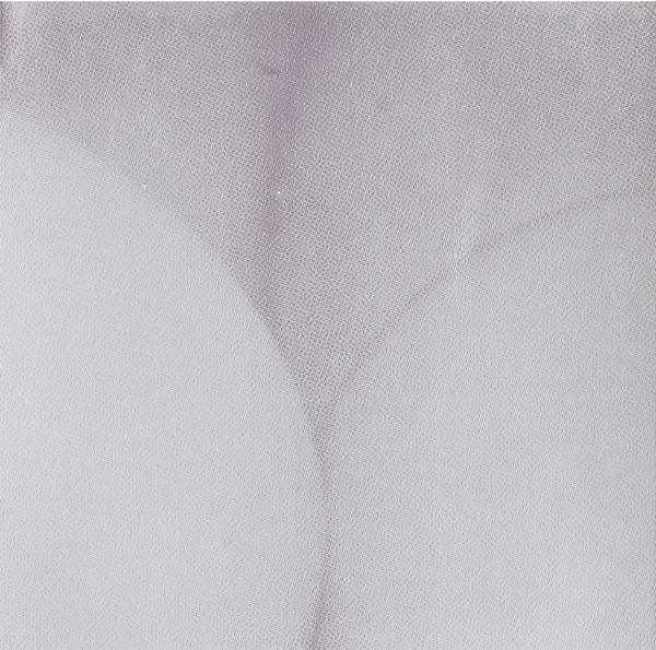 photograph of body parts silkscreened in color