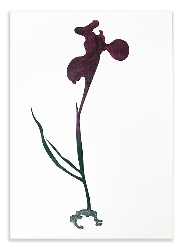 Peter Hristoff, Untitled (Flowers from My Garden - Red Flower), 2023