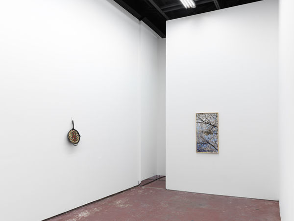 190217 Mg Install 003