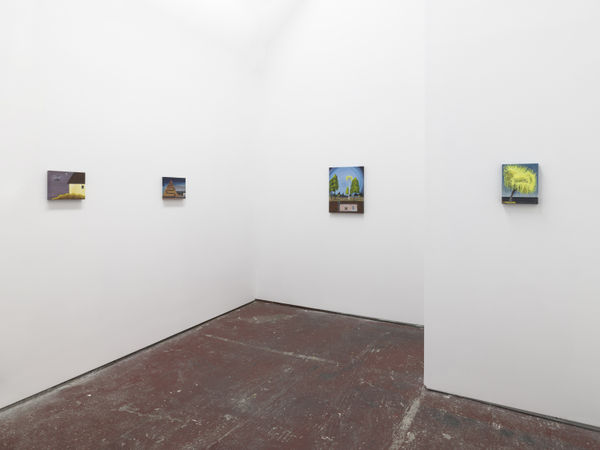 SARAH ROCHE Altered Scenery