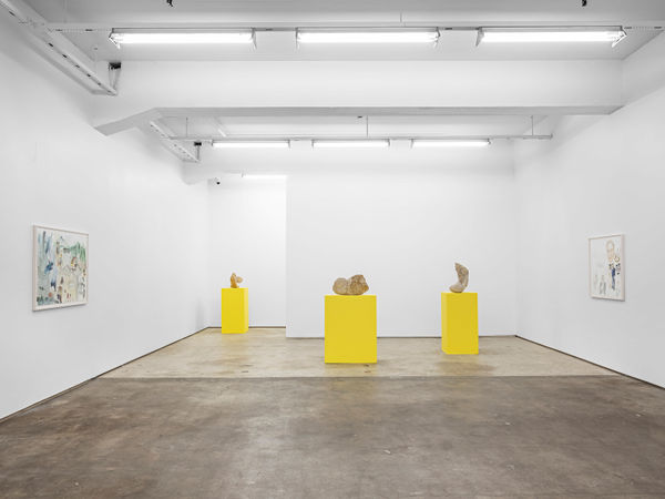 MICHAELA MEISE "Line Mercator"