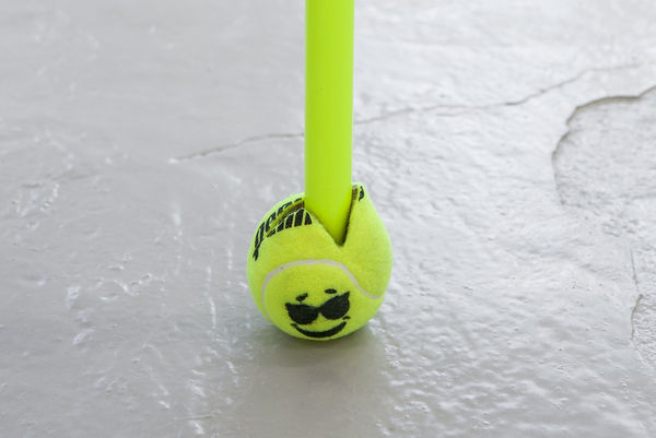 CHADWICK RANTANEN, MAGALI REUS, NEIL CLEMENTS