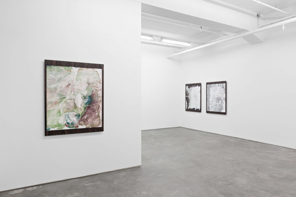 EMILY WARDILL "The Palace"