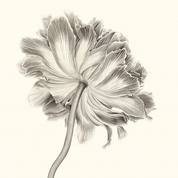 Artist Zhang Yirong's ink floral painting