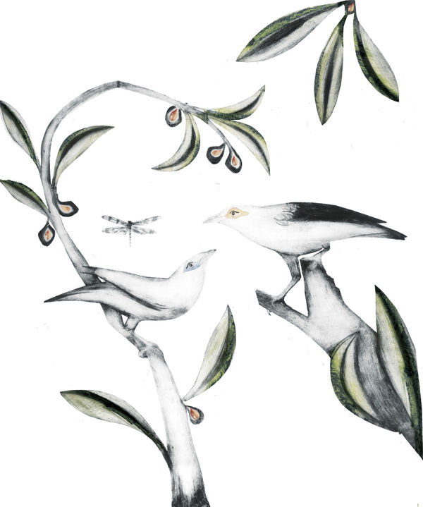 Beatrice Forshall Talks