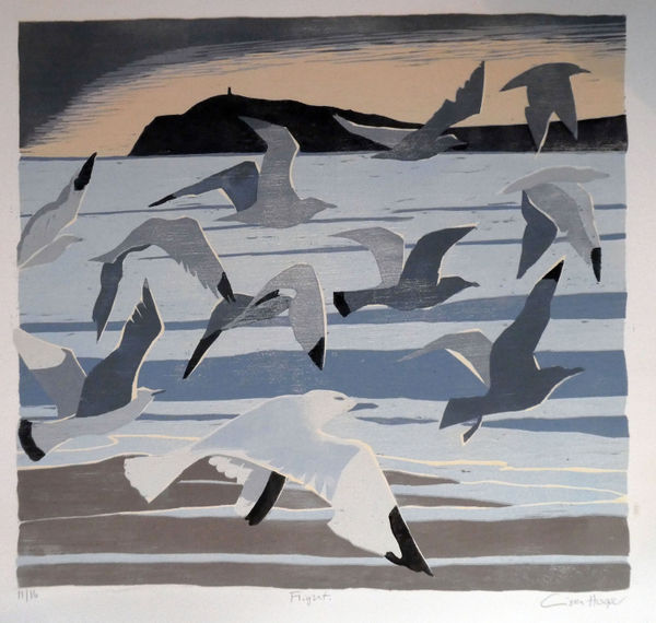 Lisa Hooper, Flight ed. 16