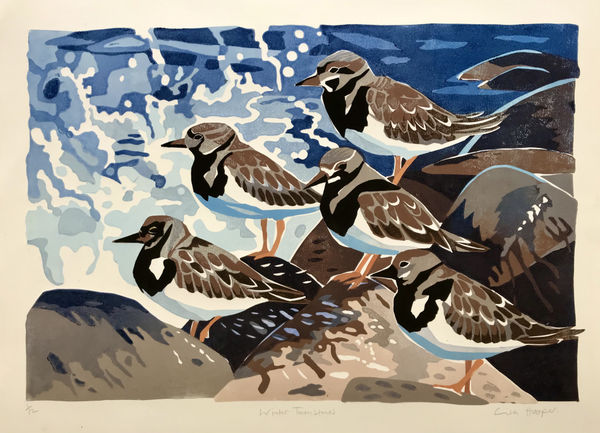 Lisa Hooper, Winter Turnstones ed. 12