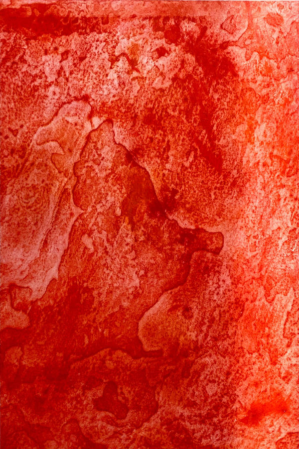 Joanna Cohn Phrygia 2 (Phrygia was the land where Midas was once king), 2023 Etching and chine collé 60 x 80 cm