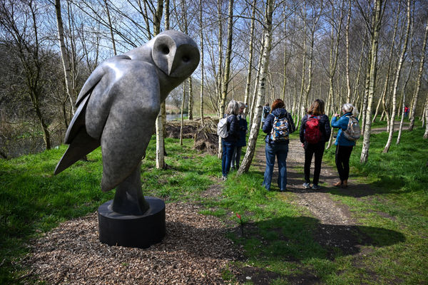 Barn Owl III by Carl Longworth Photo by Finnbarr Webster
