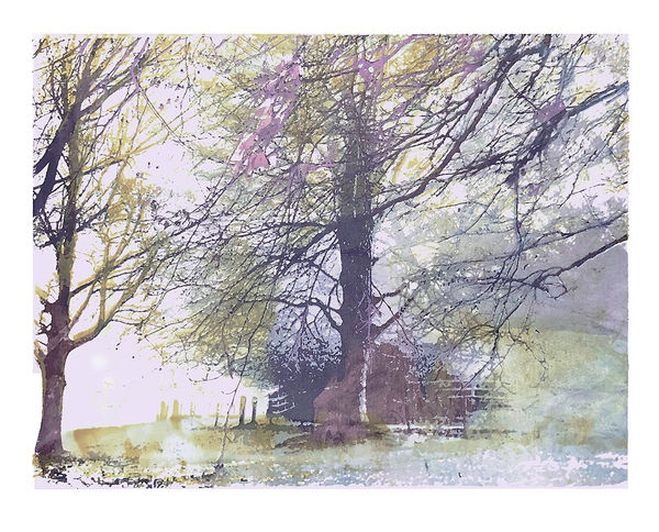 Into Mist Lavender by Rebecca Guyett