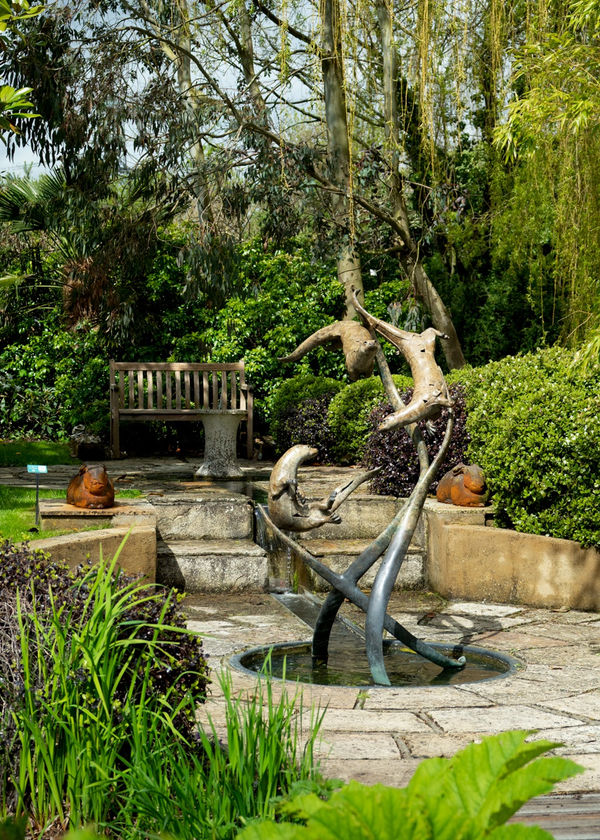 Diving Otters by Fred Gordon