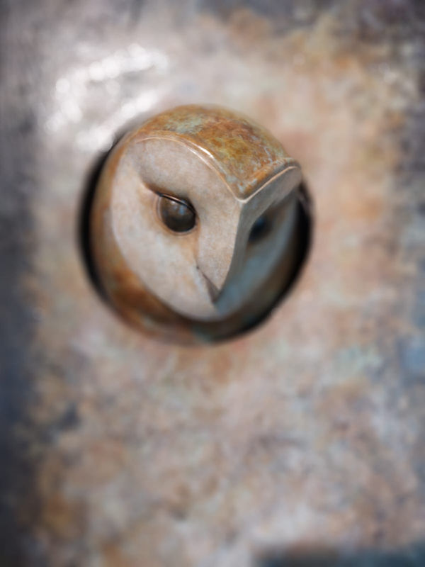 Barn Owl (detail)