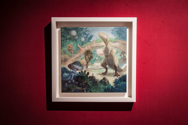 116719349 10157573390482149 7910950763701874663 N