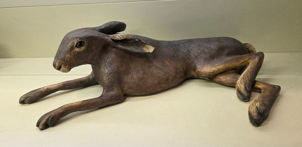 Mr Hare by Carol Hiles