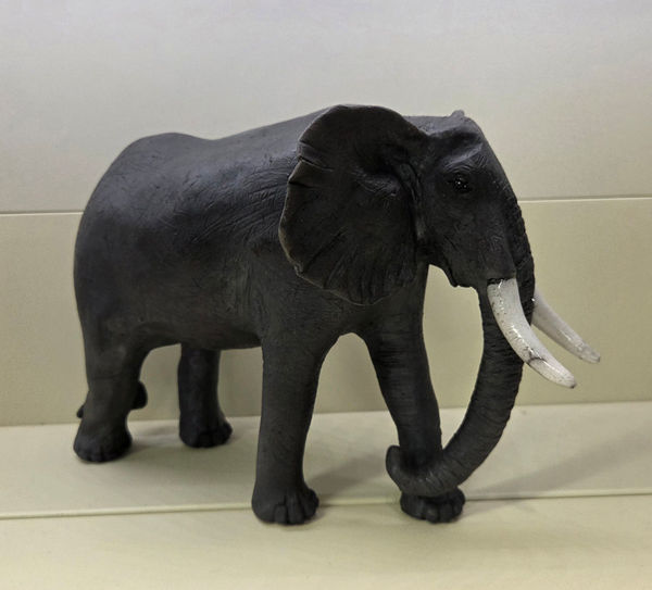 Elephant by Carol Hiles